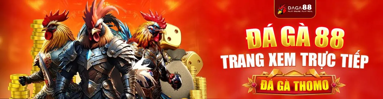 Hình ảnh tài liệu pháp lý, hợp đồng, điều khoản dịch vụ của d9bet link mới