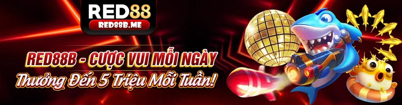 Hình ảnh tổng quan về quy tắc trò chơi d9bet link mới