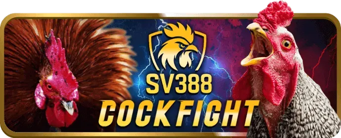 Biểu tượng trò chuyện trực tuyến d9bet link mới