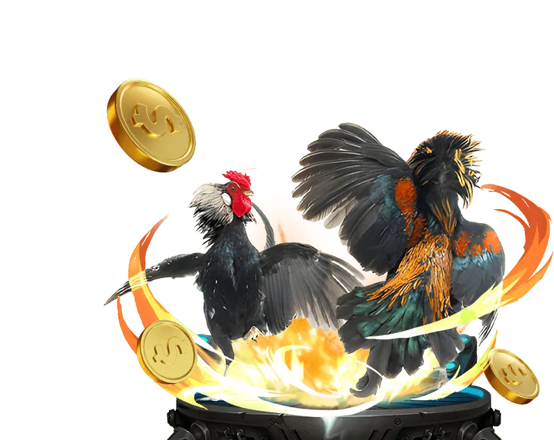 Hoàn trả cược thua D9BET